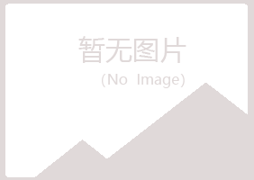 五营区夏岚艺术有限公司